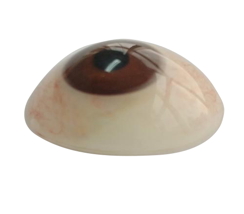 黔西南微雕义眼定制